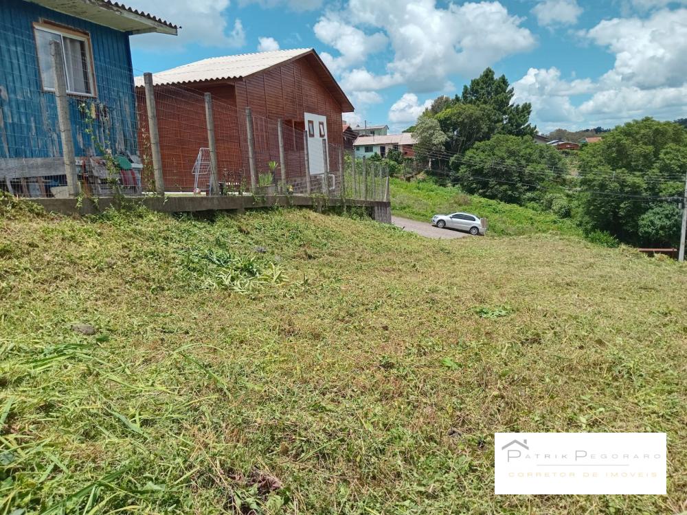 Patrik Pegoraro Imóveis