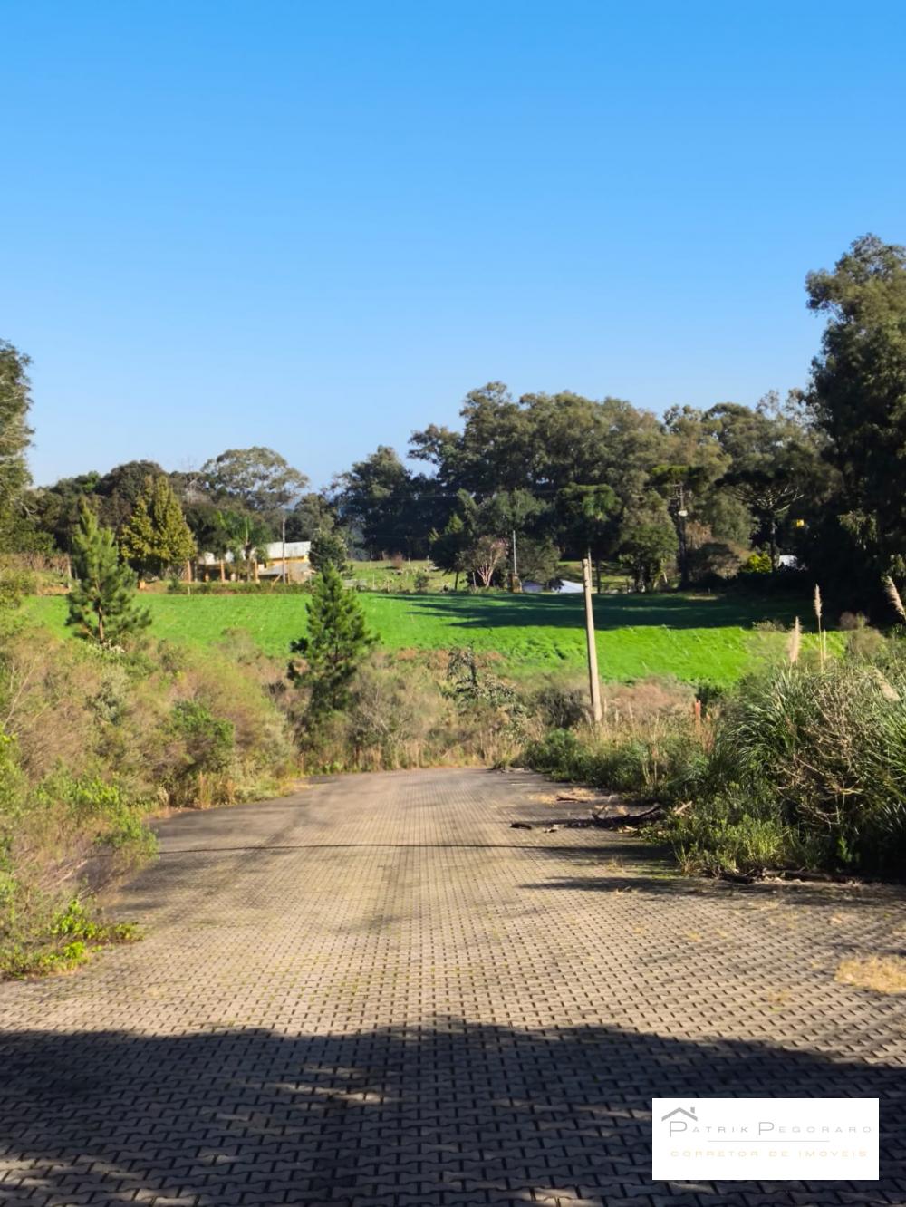 Patrik Pegoraro Imóveis