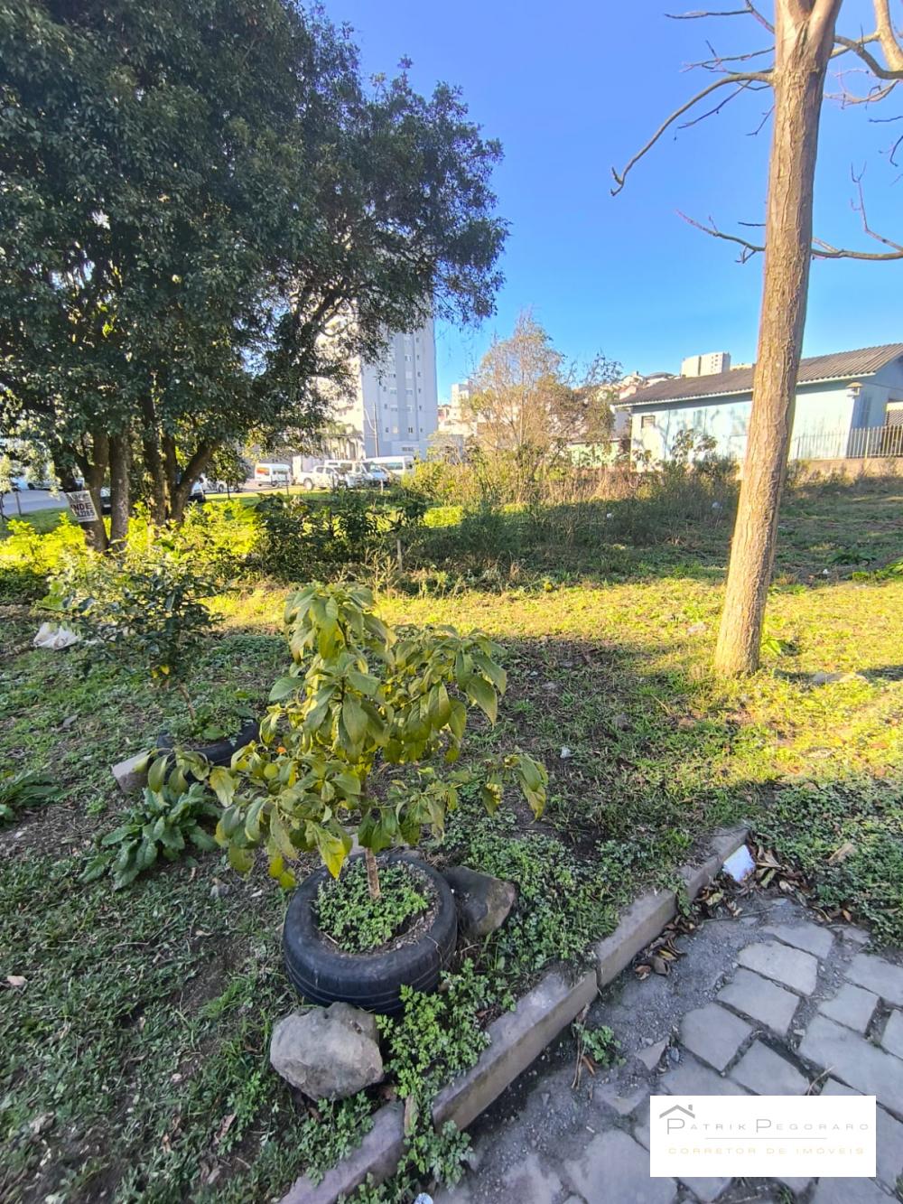 Patrik Pegoraro Imóveis